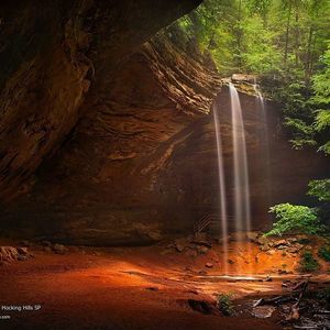 Meet your Posher, Josie